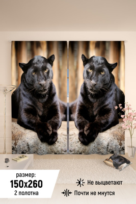 4a38918f-4901-496d-8f52-b0c63a0e8a0f